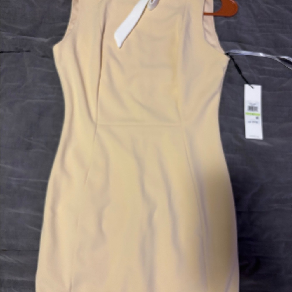Calvin Klein Elegant Beige Mini Dress